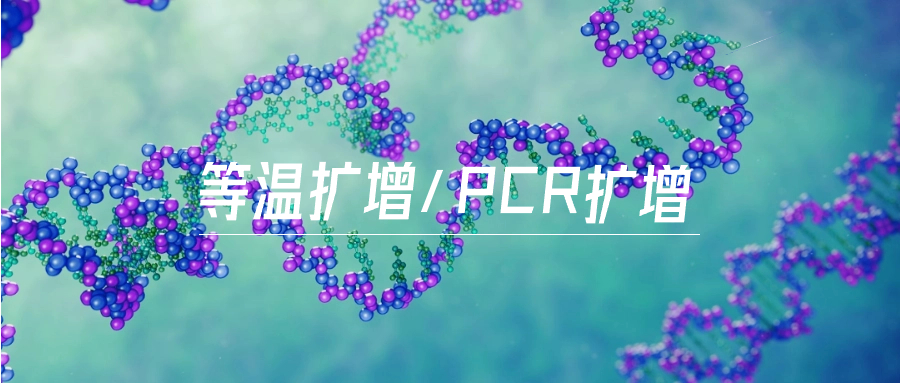 等温扩增与PCR的奇妙结合